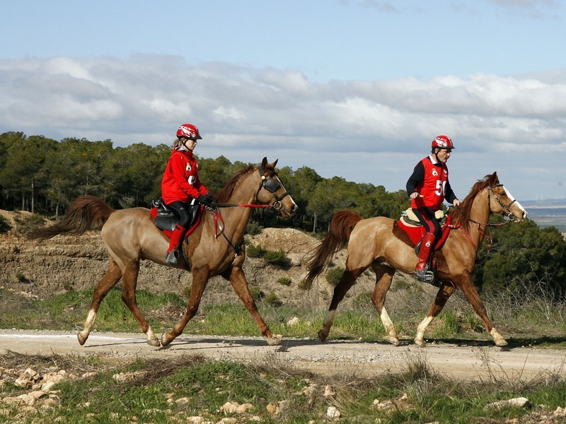 Clasificación Raid CEI*, CEN 0* y Promoción del 19 de marzo. La navarra Silvia Pérez de Zabalza gano el raid internacional CEI* celebrado en Figarol